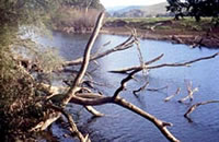 Goulburn River below the Eildon Pondage