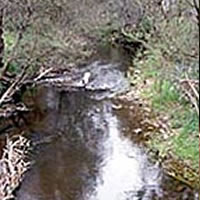 King Parrot Creek