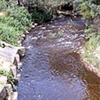 Little River