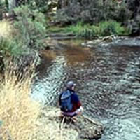 Murrindindi River