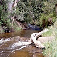 Snobs Creek