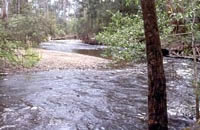 Steavenson River
