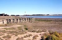Deep Lake (drought affected)