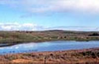 Lake Gillear
