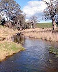 Merri River