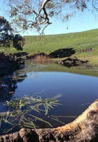 Mount Emu Creek