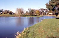 Tea Tree Lake