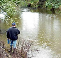 Tanjil River
