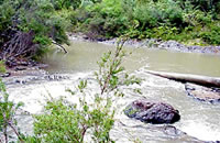 Tyers River