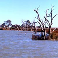 Lake Charm