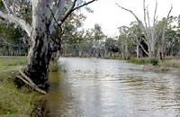 Gunbower Creek