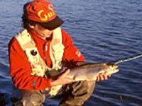 Rainbow trout