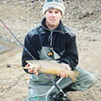 Brown trout
