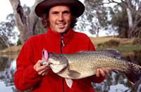 Murray cod