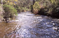 Crooked River
