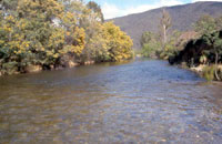 Wonnangatta River