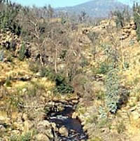 Bundarra River