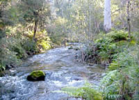 Little Snowy Creek