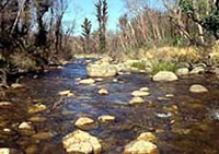 Upper Mitta Mitta River