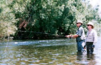 Flyfishing the Mitta Mitta