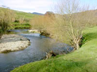 Tallangatta Creek