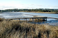 Anglesea River