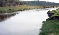 Gellibrand River