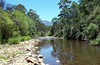 Buckland River