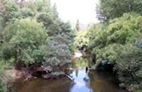 Buffalo River downstream of Lake Buffalo