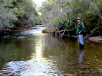 Catherine River