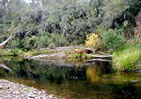 Dandongadale River