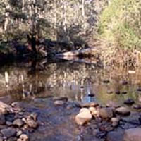 King River