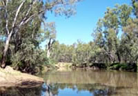 Ovens River, Peechelba