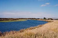 Bass landing looking east