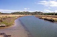 Powlett River