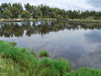 Heyfield Racecourse Dam