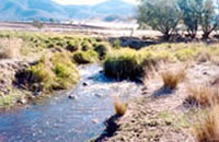 Burrowye Creek