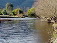 Corryong Creek