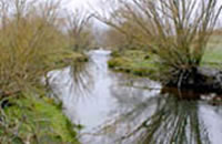 Cudgewa Creek