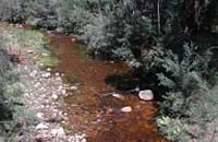 Fyans Creek above Lake Bellfield