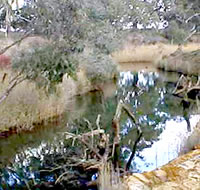 Wimmera River