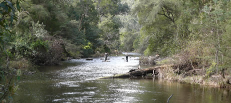 Yarra