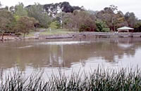 Ringwood Lake