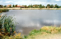 One of the Roxburgh Park Lakes