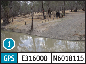Rice's Bridge Barmah