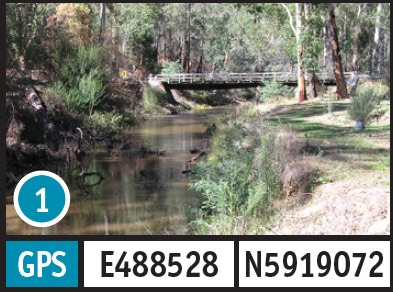 Buckland Bridge