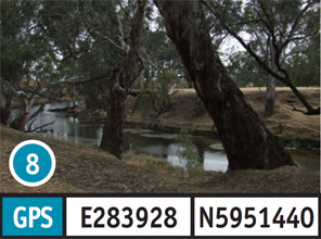 Avonmore Reserve