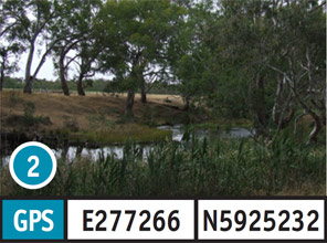Axedale Reserve