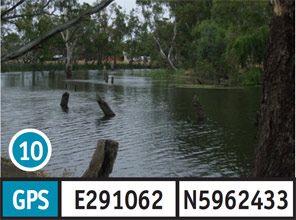 Aysons Reserve