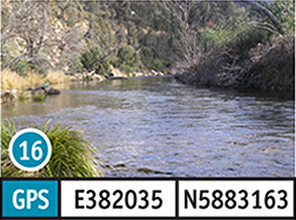 Brooks River Reserve